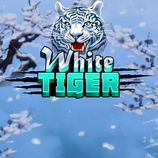White Tiger Sky Gods