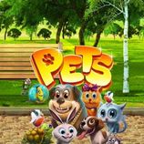 Pets