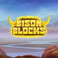 Bison Blocks