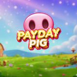 Payday Pig