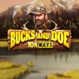 Bucks and Doe 10K Ways