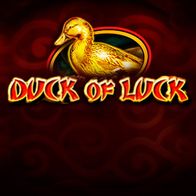 Duck Of Luck