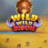 Wild Wild Bison