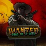 Wanted Dead or a Wild
