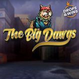 The Big Dawgs