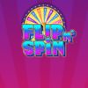 Flip N Spin