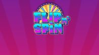 Flip N Spin