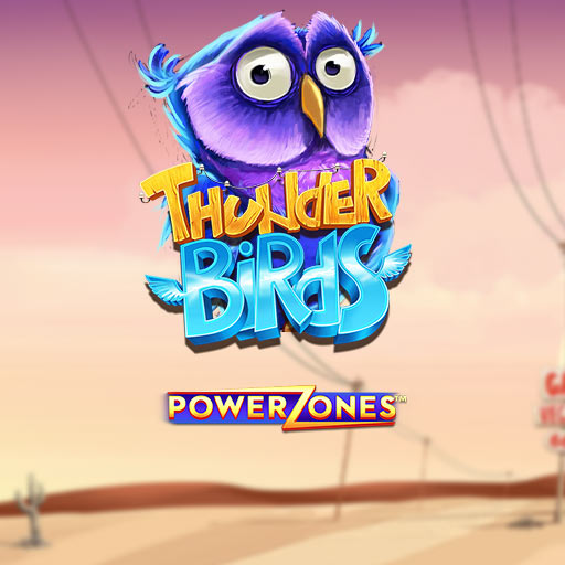 Power Zones Thunder Birds