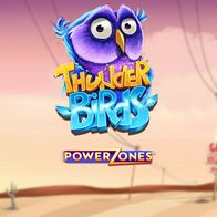 Power Zones Thunder Birds