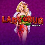 Lady Charm Bug