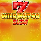 Wild Hot 40 Blow
