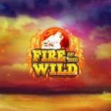 Fire Of The Wild