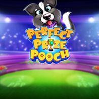 Perfect Prize Pooch