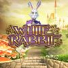White Rabbit