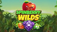 Spinberry Wilds