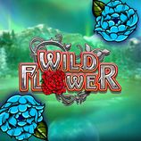 Wild Flower