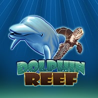 Dolphin Reef