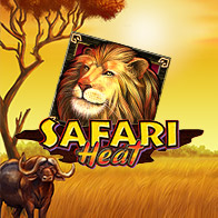 Safari Heat