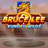 Bruce Lee Kung Fu Wilds