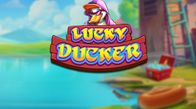 Lucky Ducker