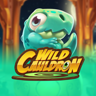 Wild Cauldron