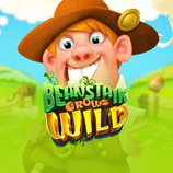 Beanstalk Grows Wild