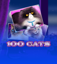 100 Cats