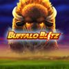 Buffalo Blitz