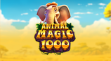 Animal Magic 1000