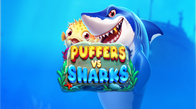 Puffers Vs Sharks