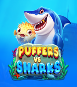 Puffers Vs Sharks