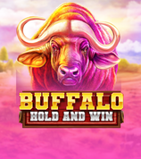 Buffalo Hold and Win