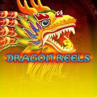 Dragon Reels