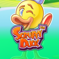 Scruffy Duck