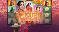 Sakura Fortune Live