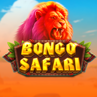 Bongo Safari