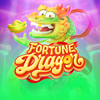 Fortune Dragon