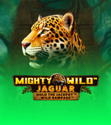 Mighty Wild Jaguar