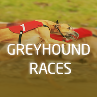 Greyhound Races