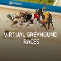Virtual Greyhound Races