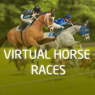 Virtual Horse Races