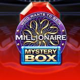 Millionaire Mystery Box