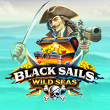 Black Sails Wild Seas