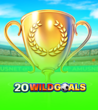 20 Wild Goals