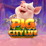 Pig City Life