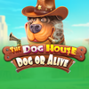 The Dog House Dog Or Alive
