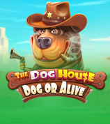The Dog House Dog Or Alive