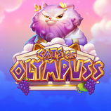 Cats Of Olympuss