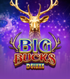 Big Bucks Deluxe