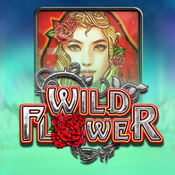 Wild Flower